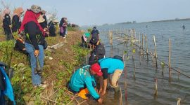 Antusias guru penggerak di Kebumen tanam pohon bakau di kawasan konservasi Kaliratu.