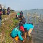 Antusias guru penggerak di Kebumen tanam pohon bakau di kawasan konservasi Kaliratu.